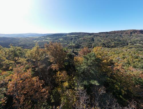DJI_1596.JPG
